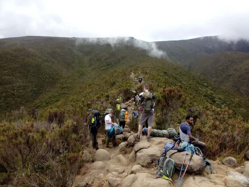6-Day Kilimanjaro Hiking Machame Route - Key Points