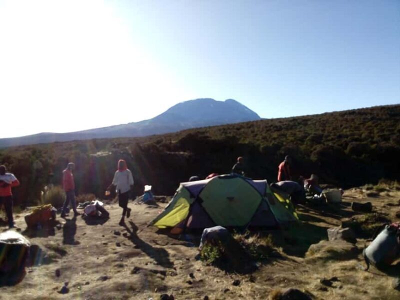 6-Day Kilimanjaro Machame Route Hiking Tour - Key Points