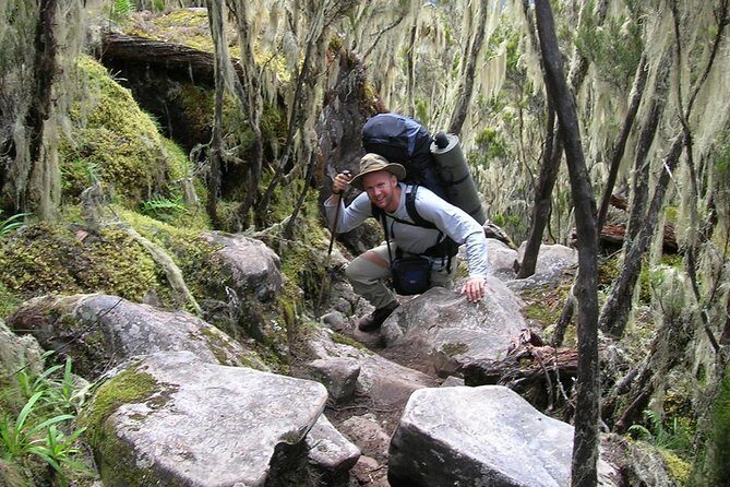 6-Day Kilimanjaro Umbwe RouteSteep,Adventurous, Challenging Path - Who Will Love This Adventure?