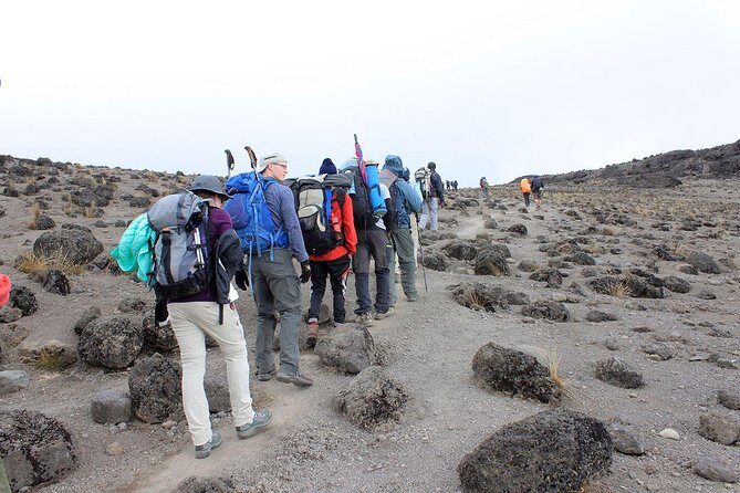 6-Day Kilimanjaro Umbwe RouteSteep,Adventurous, Challenging Path - What’s Included and What’s Not