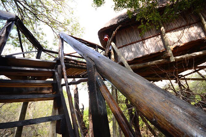 6 Day Lodge and Treehouse Kruger National Park Safari - Who Is This Tour Best Suited For?