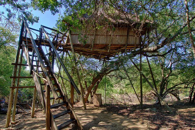 6 Day Lodge and Treehouse Kruger National Park Safari - FAQs