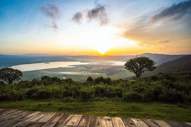 6-Day Luxury Tanzania Premium Safari - What Makes This Tour Stand Out?