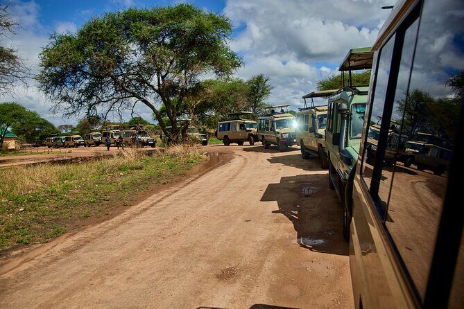 6-Day Luxury Tanzania Premium Safari - Who Is This Tour Best For?