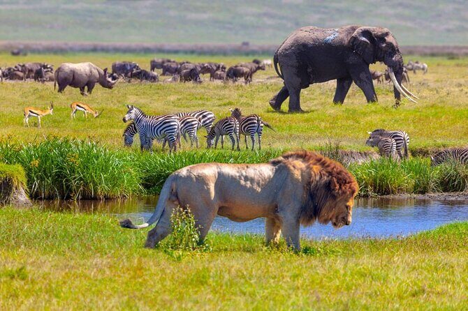 6-Day Luxury Tanzania Premium Safari - FAQ