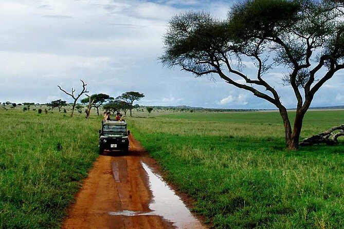 6 Day: Magnificent Wildlife Adventure - Final Thoughts