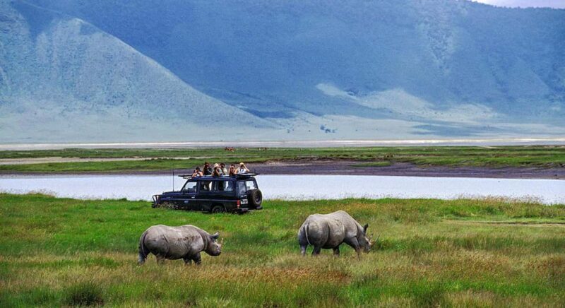 6-Day Mid-Luxury Highlights of Tanzania - Transportation, Accommodation, and Guide Experience