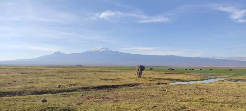 6-Day Mid-Luxury Safari: Luxury Accommodation - Discover the Beauty of Kenya on a 6-Day Mid-Luxury Safari