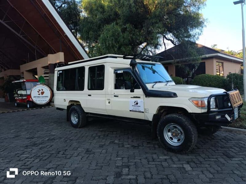 6-Day Mid-Luxury Safari: Luxury Accommodation - Key Points