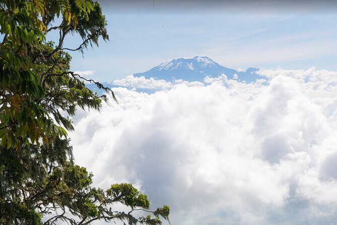 6-Day Mount Meru Climb through Momella Route Guided Tour - Who Should Book This Tour?