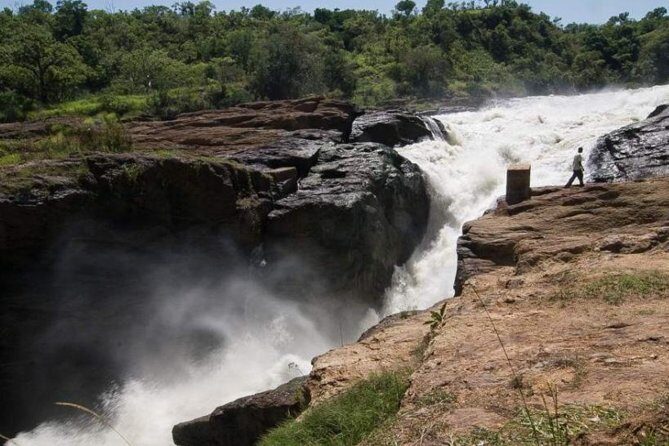6-Day Murchison Falls and Kidepo NP Wildlife Safari - Key Points