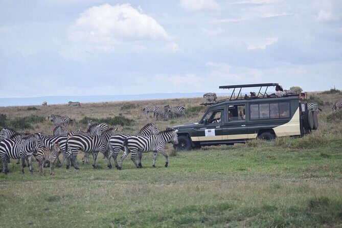 6 Day Nairobi-Amboseli-Maasai Mara Private Semi Luxury Tour - What Makes This Tour Stand Out?