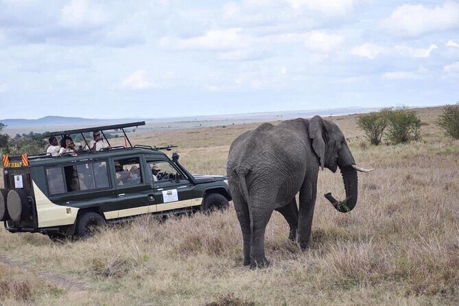 6 Day Nairobi-Amboseli-Maasai Mara Private Semi Luxury Tour - Authentic Experiences and Unique Insights