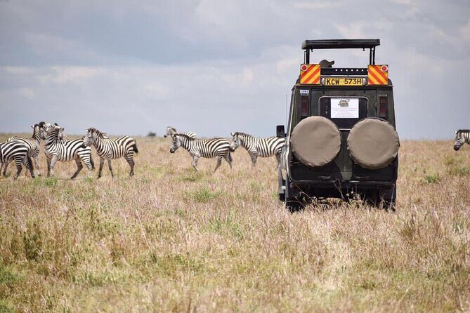 6 Day Nairobi-Amboseli-Maasai Mara Private Semi Luxury Tour - Who This Tour Is Best For