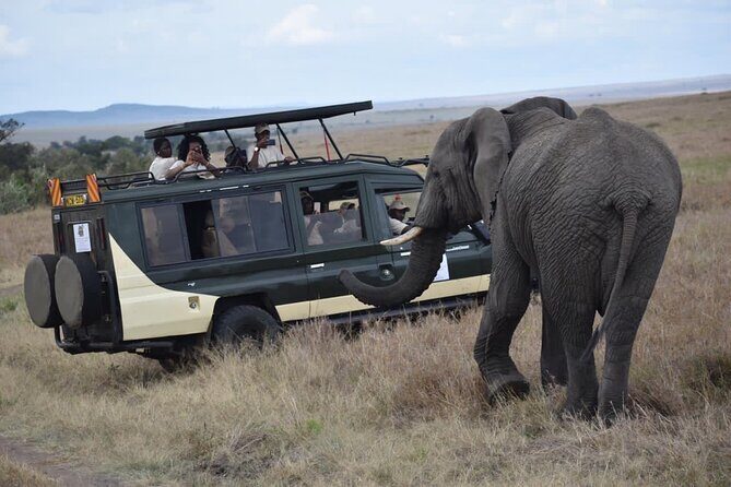 6 Day Nairobi-Amboseli-Maasai Mara Private Semi Luxury Tour - The Sum Up