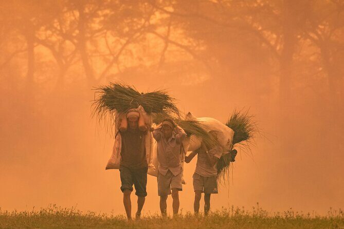 6 Day Nepal Golden Triangle Kathmandu, Chitwan and Pokhara - Final Thoughts: Is This Tour Right for You?