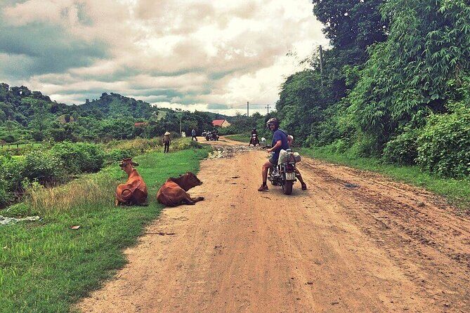 6-Day Nha Trang to Ho Chi Minh Motorbike Adventure - Easy Rider - Day 3: Highland Jungle and Lake Views