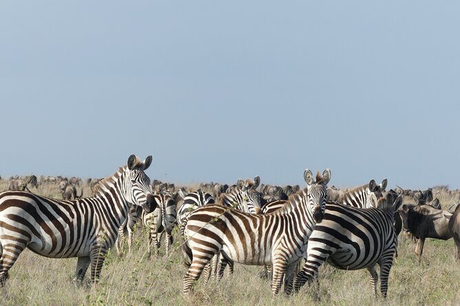 6-Day Northern Safari - Practical Details