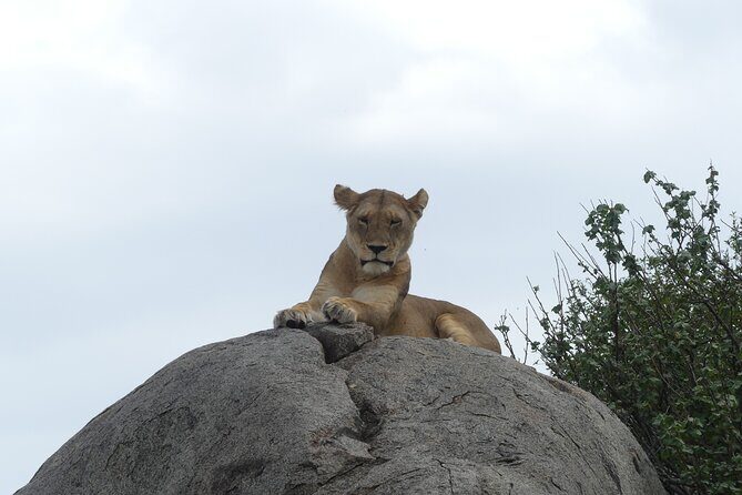 6-Day Northern Safari - Final Thoughts