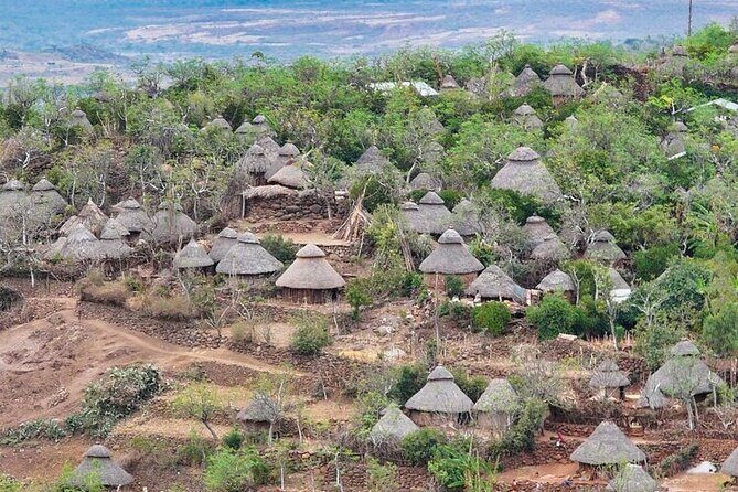 6 day Omo ValleyTours - Day 1: Arrival in Turmi and the Hamar Experience