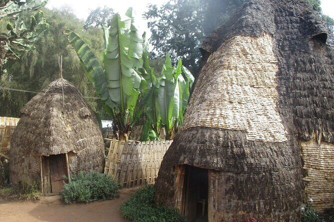 6 day Omo ValleyTours - Day 6: Lake Chamo and Farewell