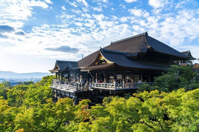 6-Day Osaka & Surroundings Tour - What Makes This Tour Stand Out?