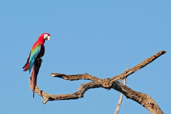 6-day-pantanal-bonito-experience