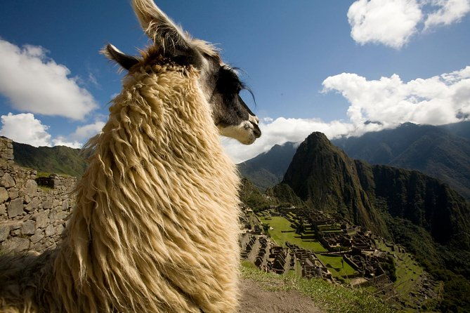 6-day-peru-connect-your-energies-lima-cusco-machu-picchu