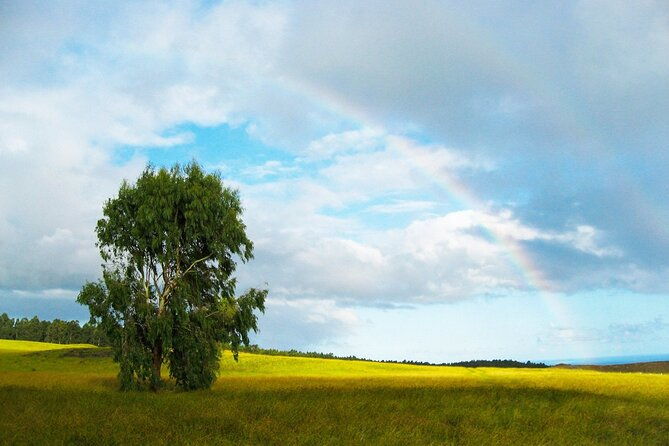 6-day-private-easter-island-archaeology-and-hiking-adventure
