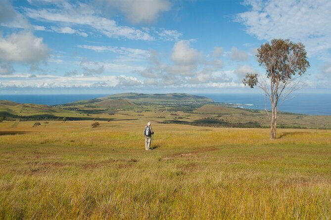 6-day-private-easter-island-archaeology-and-hiking-adventure