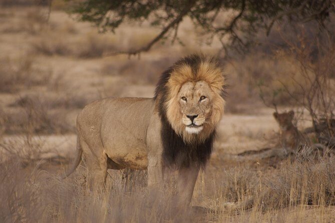 6 Day Private Guided Accommodated Namibian Loop - Authentic Experiences and Practical Details