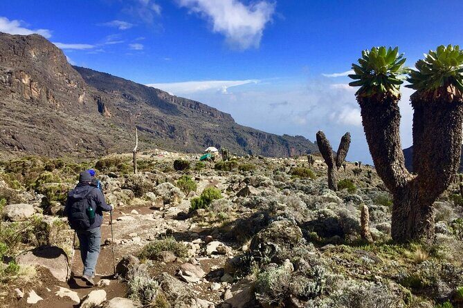 6 Day Private Kilimanjaro Climbing Via Rongai Route - Key Points