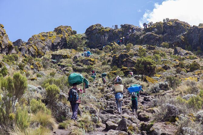 6 Day Private Kilimanjaro Climbing Via Rongai Route - Why This Tour Stands Out