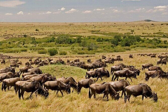 6-Day Private Landcruiser Safari to Masai Mara, Nakuru & Amboseli - FAQs