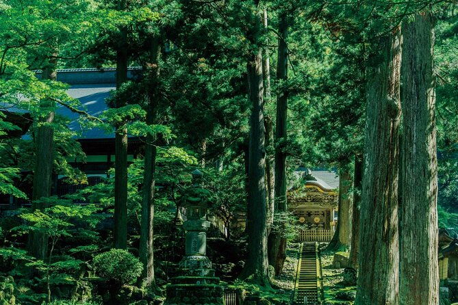6-day-private-minibus-tour-to-kyoto-via-fukui-from-fukuoka