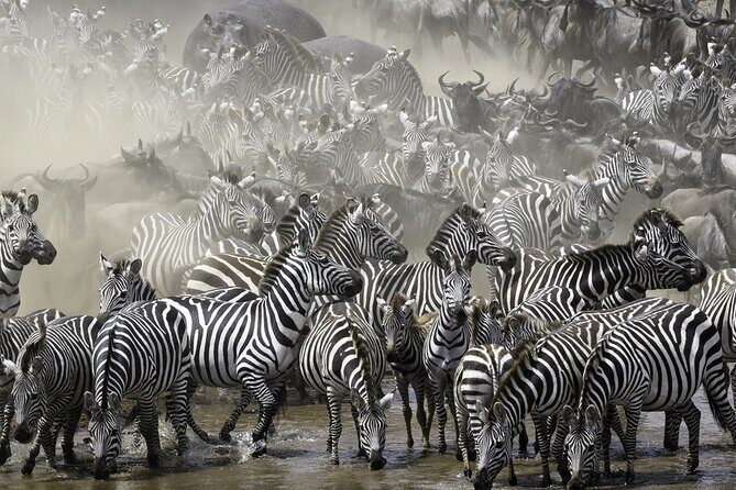 6-Day Private Safari in Northern Tanzania from Arusha - Key Points