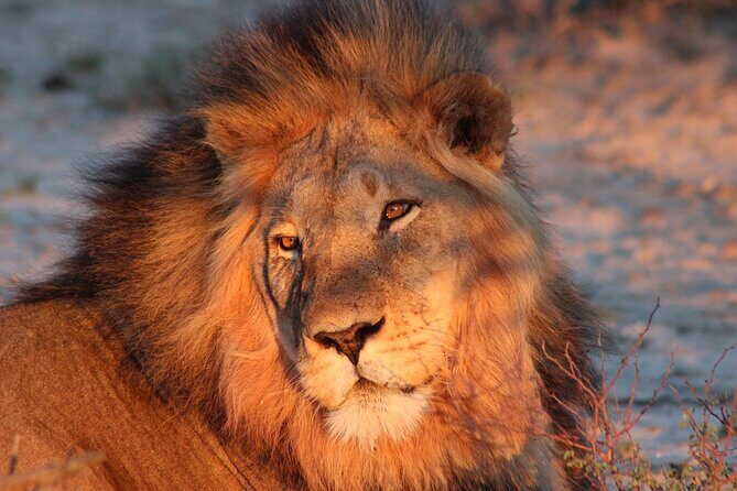 6-Day Private South to North Kruger National Park Tour - A Closer Look at the Itinerary