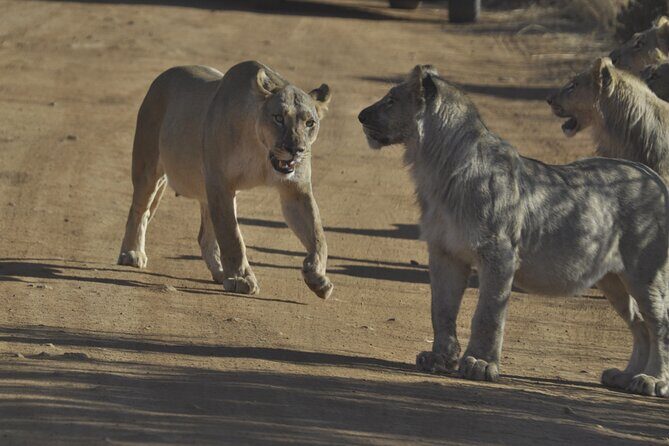 6-Day Private South to North Kruger National Park Tour - Who Should Consider This Tour?  