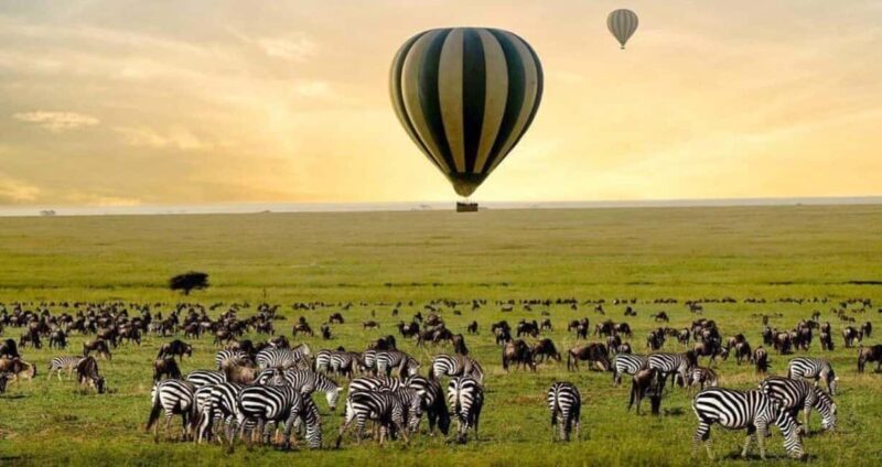 6-Day Private Wildlife and Cultural Tourism Safari - FAQs