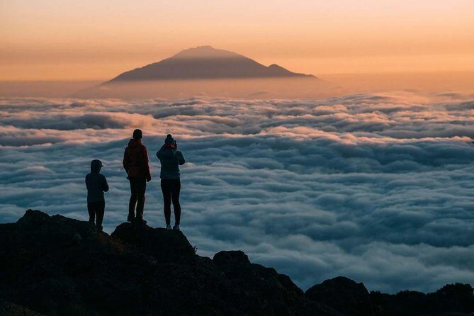 6-Day Rongai Route Trek in Mount Kilimanjaro - Potential Drawbacks