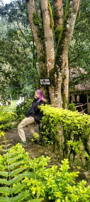 6-Day Rwanda-Uganda Gorilla & Chimp trekking Safari - FAQs