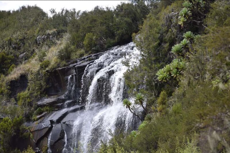 6-Day Safari Adventure: Samburu, Aberdare and Lake Naivasha - FAQ
