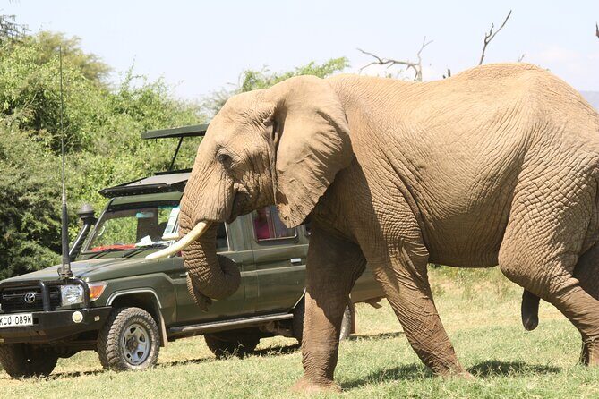 6-Day Samburu, Lake Nakuru, and Masai Mara Safari - Who Is This Tour Best For?