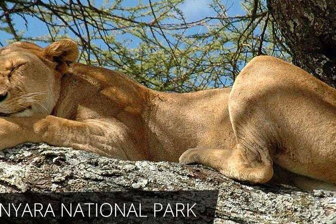 6 Day Serengeti wildebeest migration Camping Safari - Exploring the Itinerary in Detail