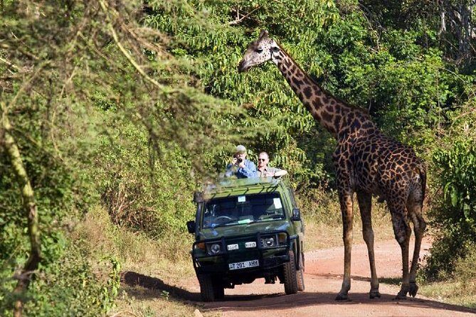 6 Day Serengeti wildebeest migration Camping Safari - Final Thoughts