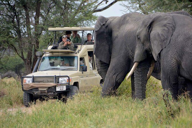 6-Day Tanzania Camping Safari: Lake Manyara, Serengeti, Ngorongoro Cater and Tarangire National Park from Arusha - Day-by-Day Breakdown