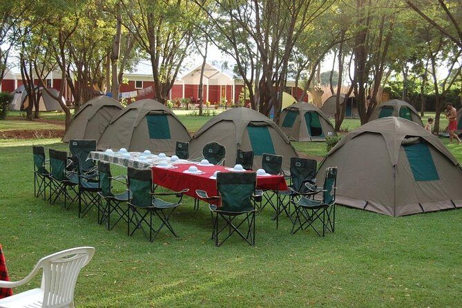 6-Day Tanzania Camping Safari: Lake Manyara, Serengeti, Ngorongoro Cater and Tarangire National Park from Arusha - The Practicalities and Value
