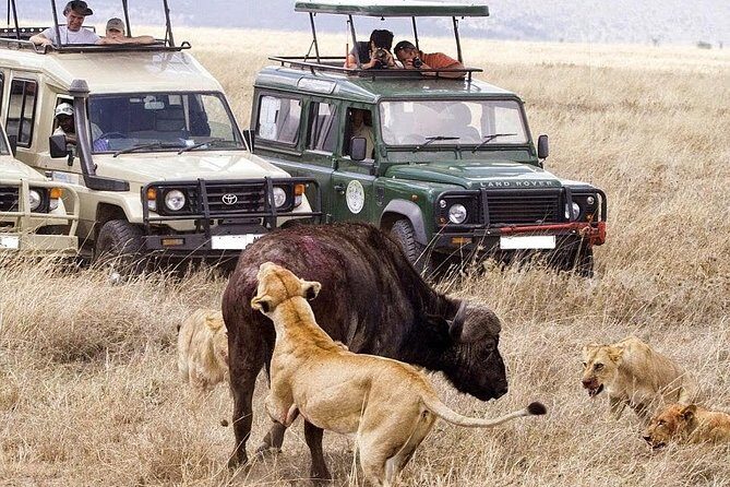 6-Day Tanzania Camping Safari: Lake Manyara, Serengeti, Ngorongoro Cater and Tarangire National Park from Arusha - Who Will Enjoy This Tour?