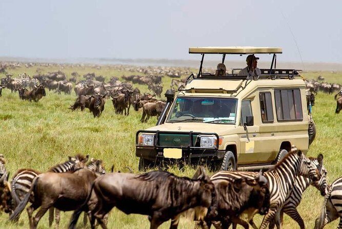 6-Day Tanzania Camping Safari: Lake Manyara, Serengeti, Ngorongoro Cater and Tarangire National Park from Arusha - FAQ