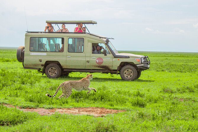 6 Day Tanzania Wildlife Mid range Safari - The Itinerary in Detail